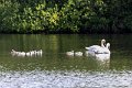 Springtime in Monaghan 2013 (19)